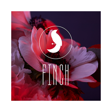 finch-kl